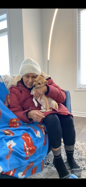 Pet Success Therapy dogs visit seniors homes, schools, retirement homes giving love