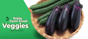 Best prices for fresh fruits and vegetables in Dubai