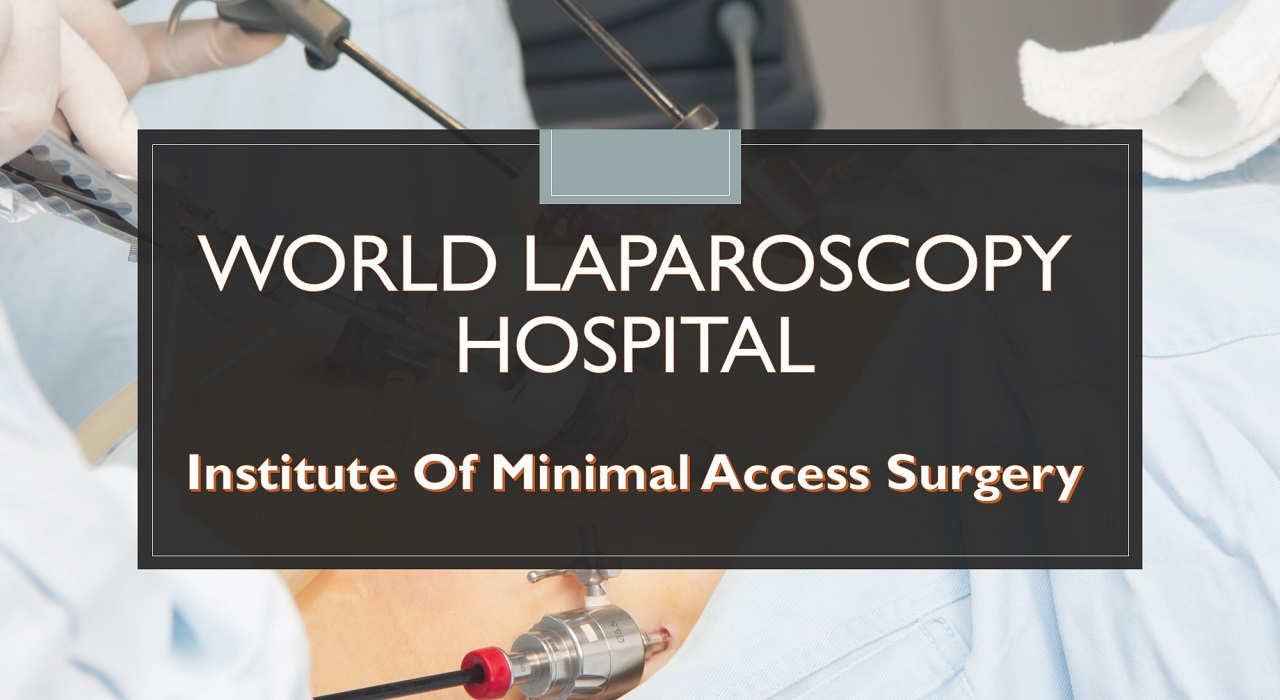 World Laparoscopy Hospital