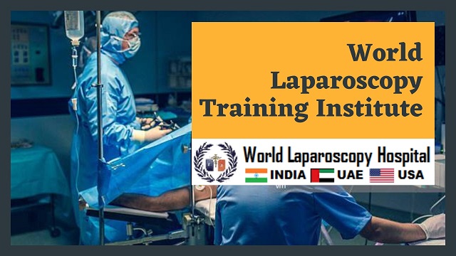 World Laparoscopy Training Institute