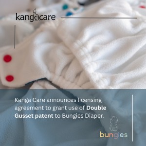 Announcement Bungies