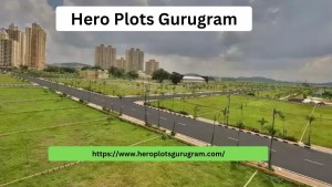 Hero Plots Gurugram