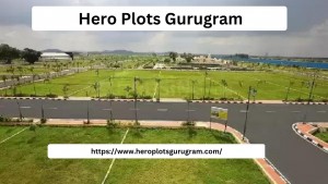Hero Plots Gurugram