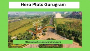 Hero Plots Gurugram