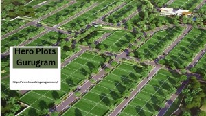 Hero Plots Gurugram