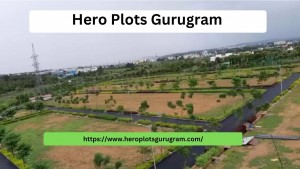 Hero Plots in Gurugram