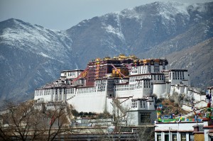 the Potala Palace