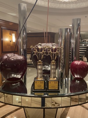 Best Use of Innovation in Loyalty Marketing