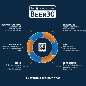 Beer30 Version 10 Flow Chart