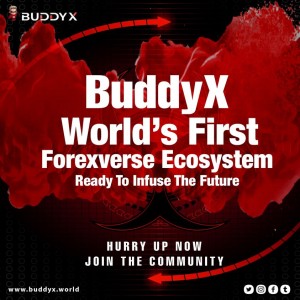 BuddyX  Forexverse Ecosystem