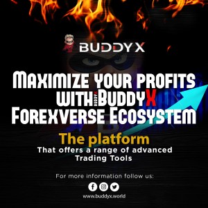 BuddyX  Forexverse Ecosystem