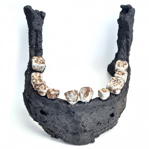 Closed Eye Skull sq