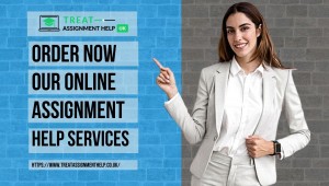 Online Assignment Help Services