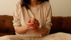 rolling ovolio in hands