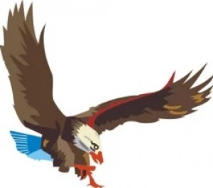 the hawk logo