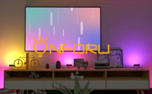 Onforu RGB Flood Light Home