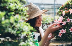 Discovering a sustainable future from Japan