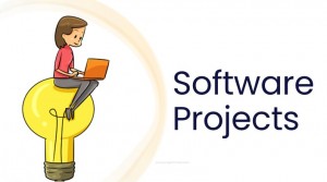 software project management 1