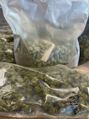 cannabis plastic bag waste