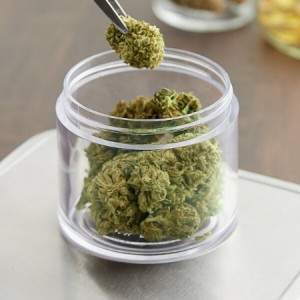 Cannabis plastic waste