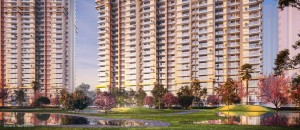 WhatsApp Image 2023 05 17 at 11 05 33