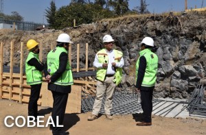 Cobeal CTO, Bo Hollsten