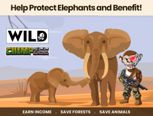 WILD & Chimpzee Help Protect Elephants