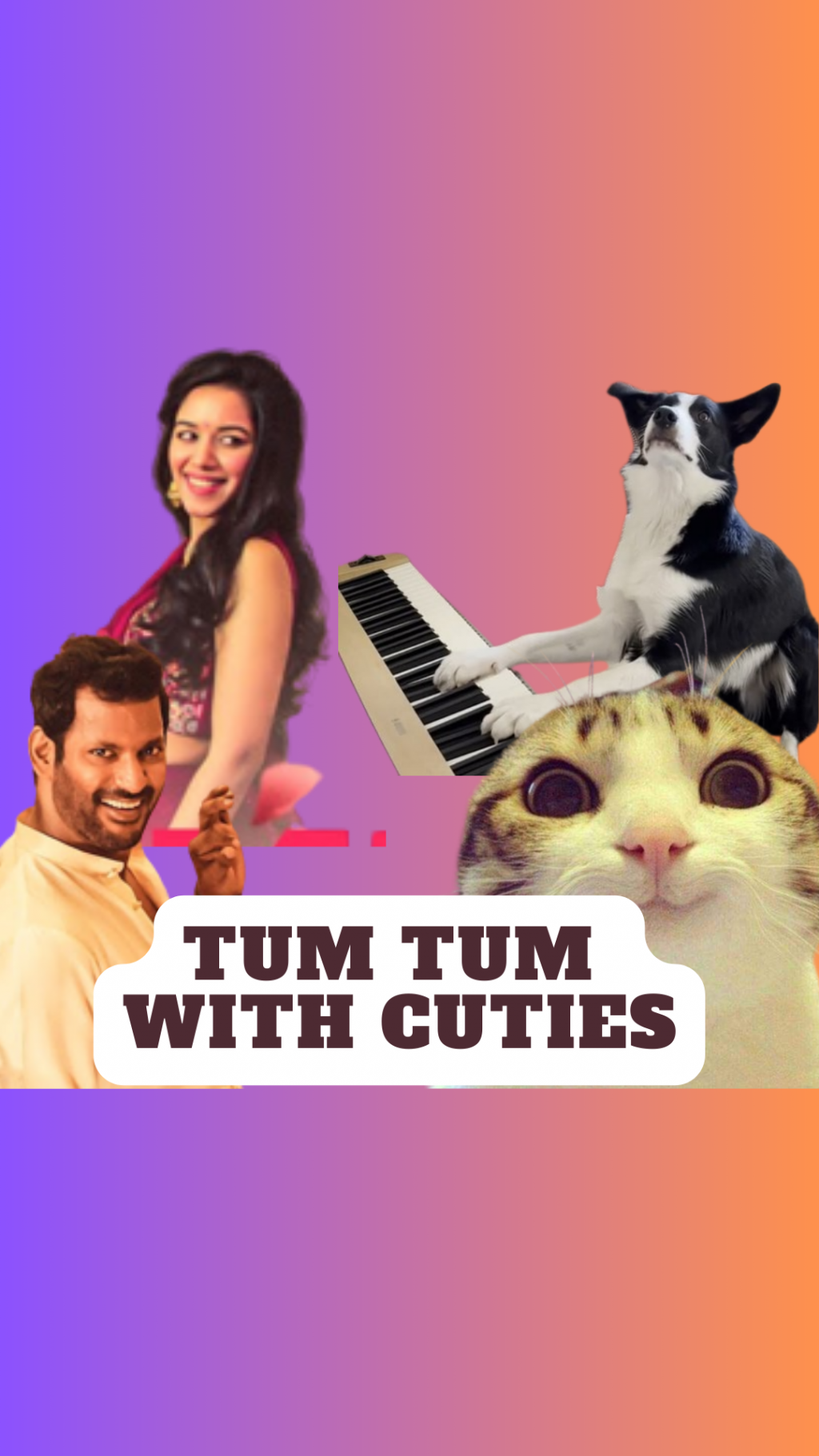 From Paws to Beats Innovative Music Producer Transforms Cat and Dog