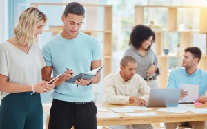 Spider Web Solutions2