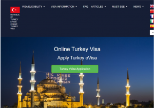Get different kinds of Online Turkey Visa based on the purpose of the visit