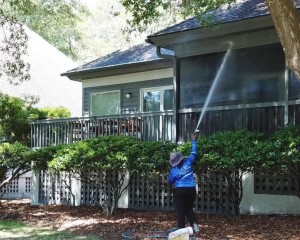 Pressure Washing Mount Pleasant
