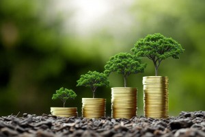 Introducing LifescopeHQ: Empowering Lives through Informative and Inspiring Content