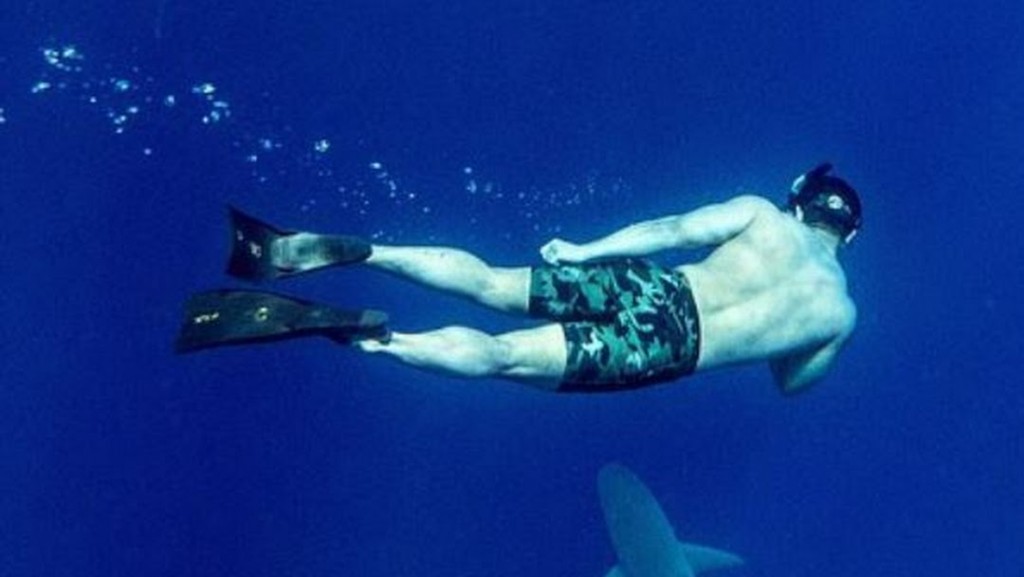 Shark Cage Diving In Oahu Dive Into The Excitement IssueWire