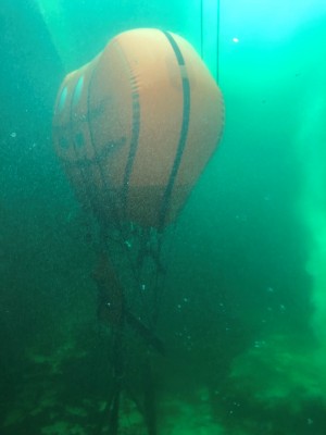Ocean Space Habitat deployed within Biosphere 2, readied for an overnight stay.