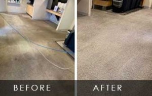 best carpet cleaning adelaide