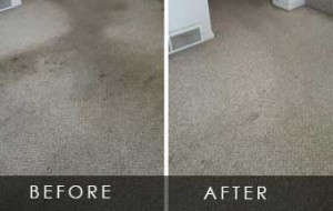 carpet cleaning by city carpet cleaning adelaide