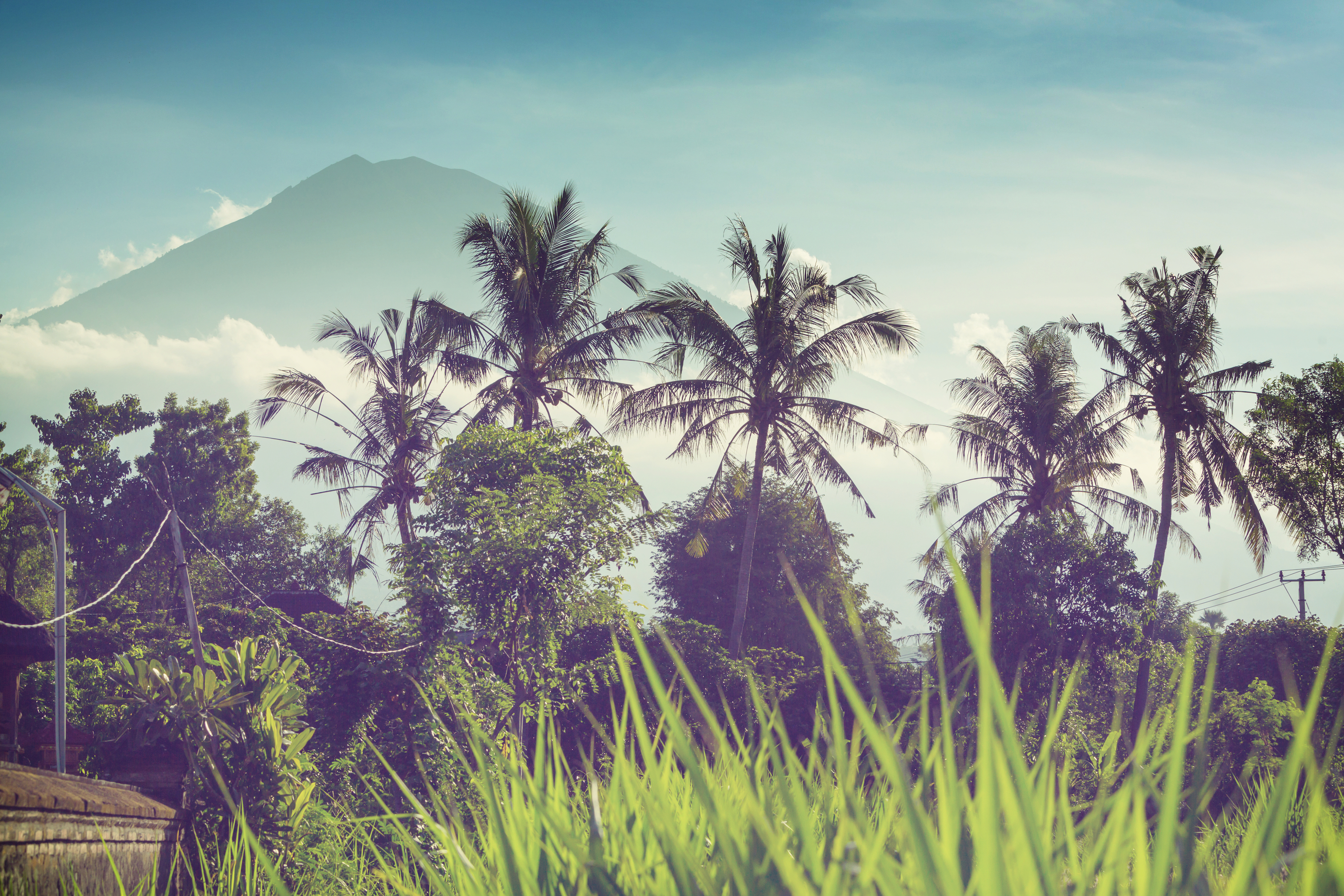Soak in the beautiful landscape of Bali as you learn in a supported space Soak in the beautiful landscape of Bali as you learn in a supported space
