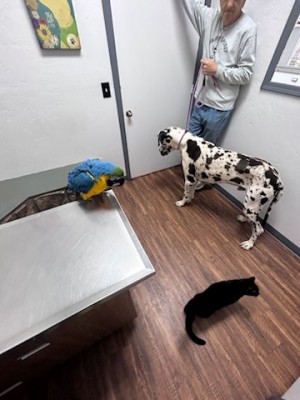 Juliette rescued from abuse