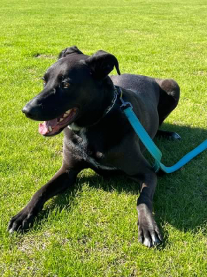 Remy,Blasko Handsome Medical