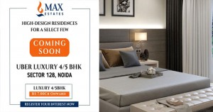 max sector 128 noida slide5