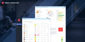 Sibble & Associates Unveils Revolutionary Startup Assessment Company