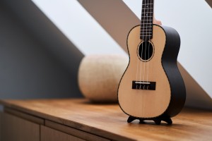 HangWithMe Wall Mount