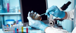 Stem Cell Treatment in india