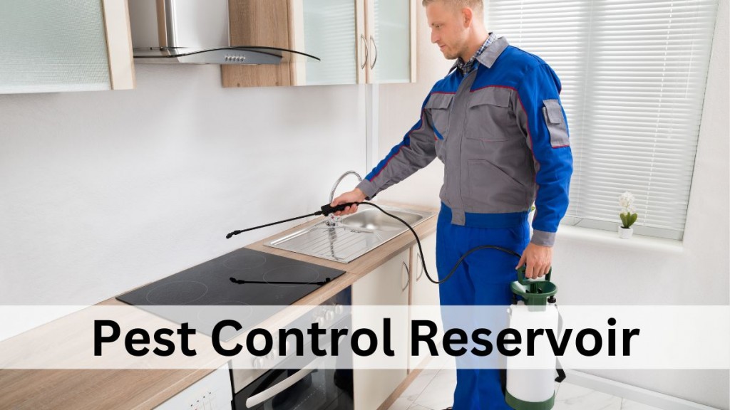 True Pest Control Offers a Discount on Pest Control This Summer IssueWire