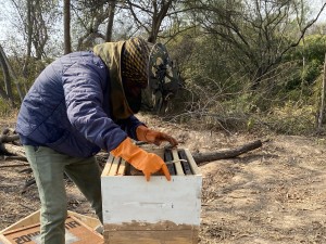 Siddhartha Jindal and the Walden Products