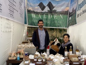 Walden Living - Bee Honey Harvesting