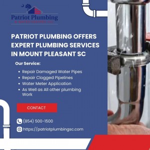 Patriot Plumbing Offers Expert Plumbing Services in Mount Pleasant SC