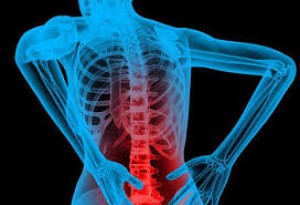 Spine