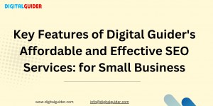 Digital Guider Launches Affordable and Effective SEO Services for Small Businesses 1