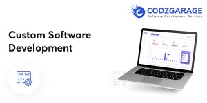 Custom Software Development